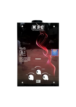 Instant Gas Water Heater (2)