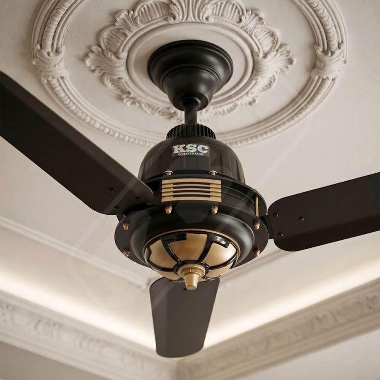 AC-DC fan black
